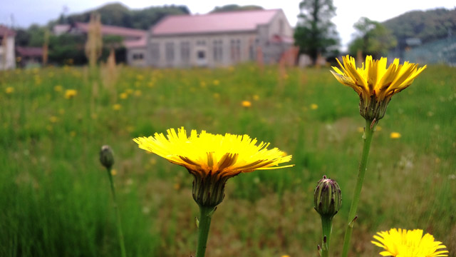 レトロな体育館