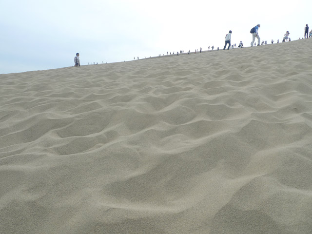 鳥取砂丘