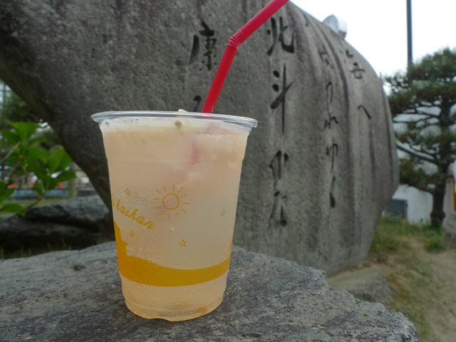 微炭酸が入ったグレープフルーツジュース