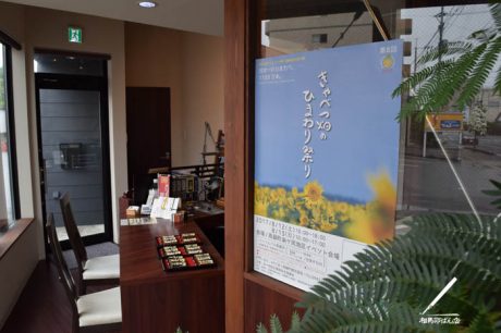 高鍋町のヒマワリ畑