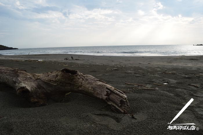 高鍋町　蚊口の浜