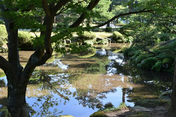水面に映る緑と青空(兼六園)