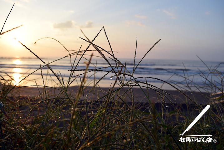 夜露が朝日に照らされる。