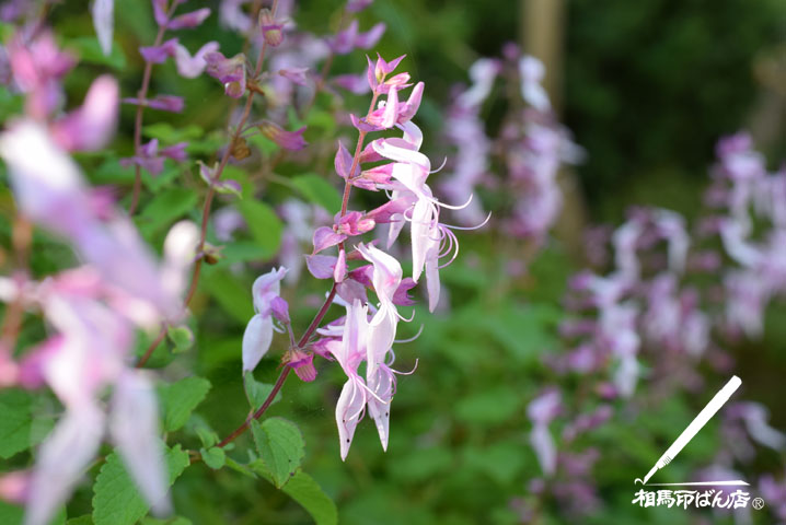 やってはいけない印鑑の話