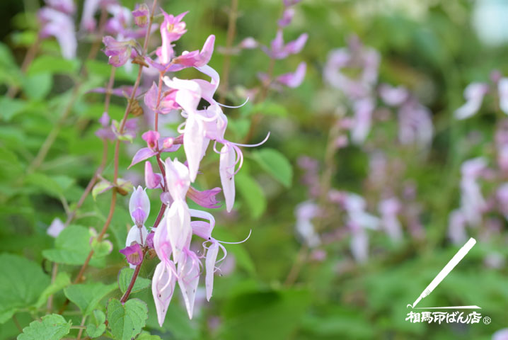 玄関に印鑑は置いてはいけない