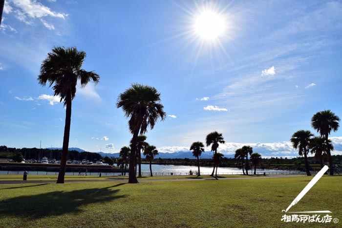 台風一過のサンマリーンビーチ