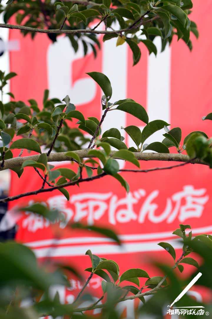 のぼり旗を掲げる