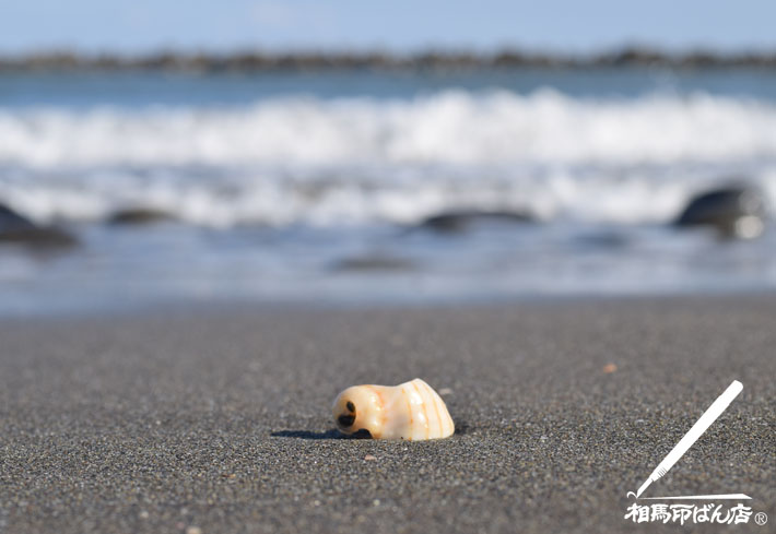 高鍋町 蚊口の浜を散歩