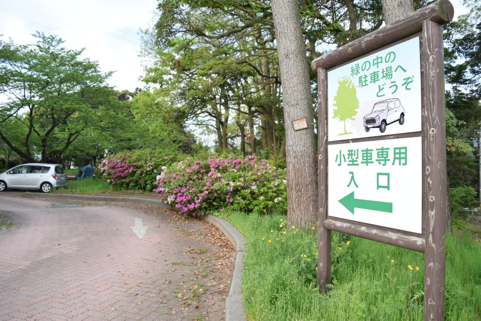 尼御前SAでテントを張る