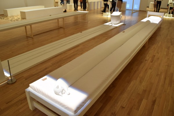 なが〜い猫が寝ている