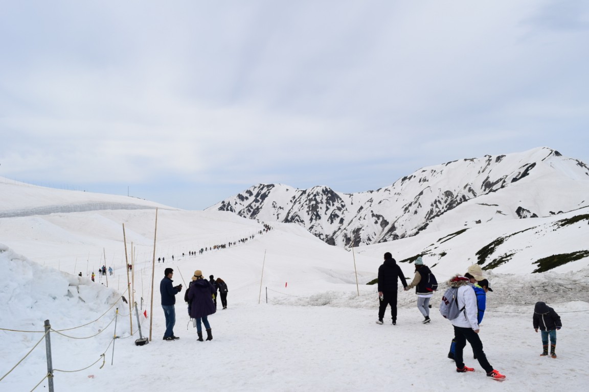 室堂の雪原