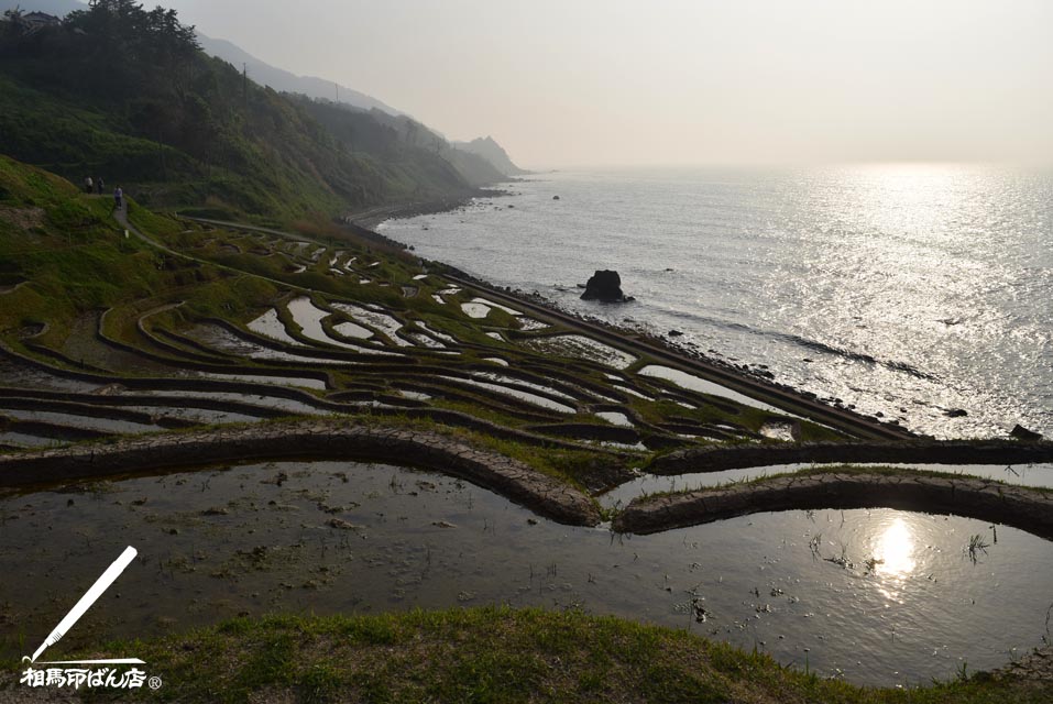 白米千枚田