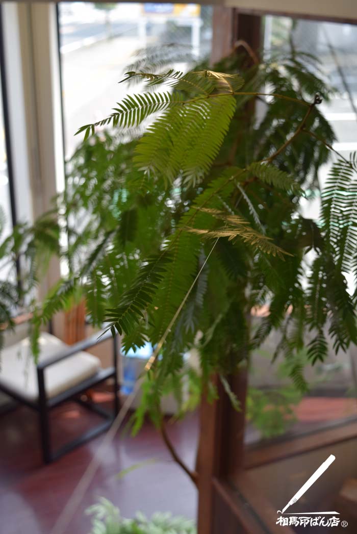 細い枝をテグスを張って支えてみた。