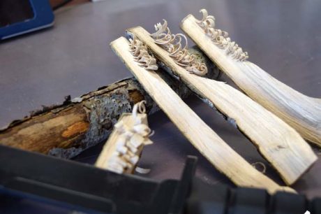 薪に火を付ける際に使うフェザー