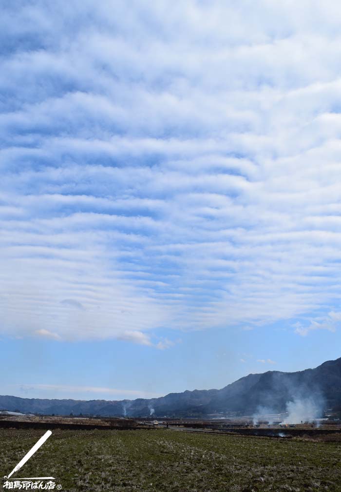 南阿蘇村の野焼きの風景