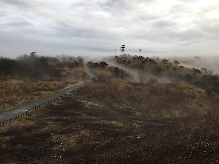 朝もやが掛かる髙ボッチ高原