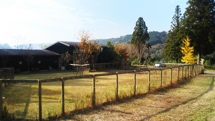 宮崎県木城町の自然に囲まれたホテル