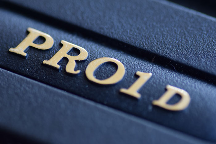 タムロンの90mm中望遠マクロレンズでテスト撮影