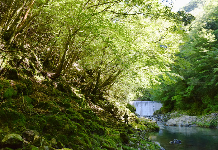 日本三大秘境の1つ椎葉村の山奥