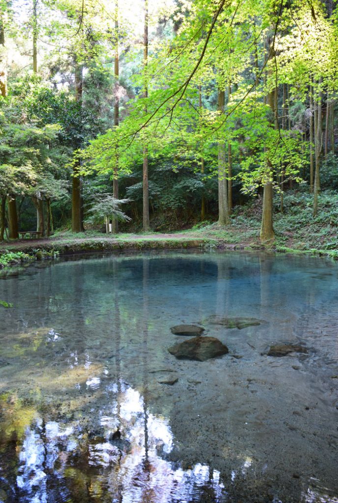 えびの市にある小池