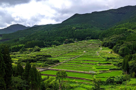 坂元棚田を一望